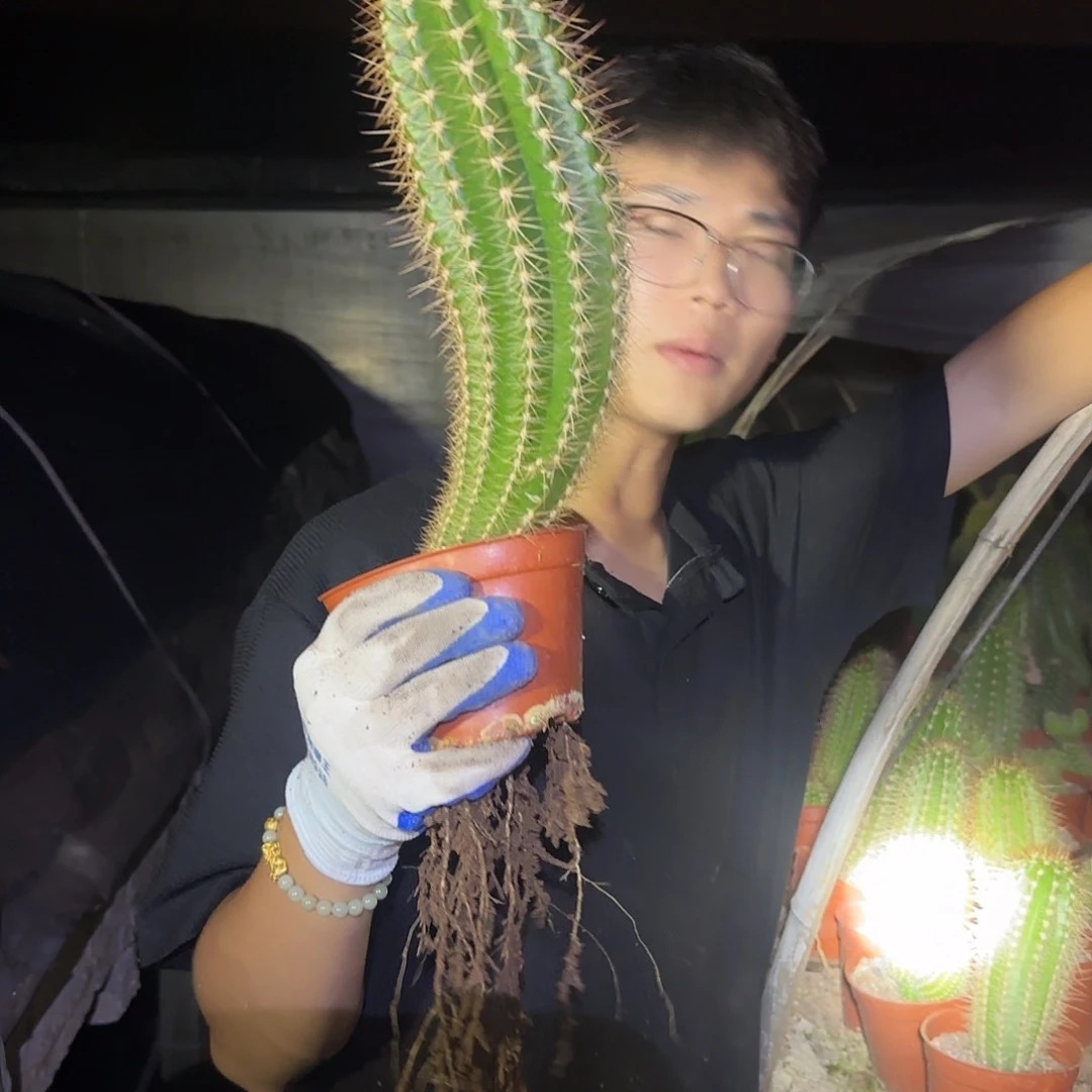 无花朵粉*瑰哈哈哈哈哈哈哈哈哈哈哈哈哈