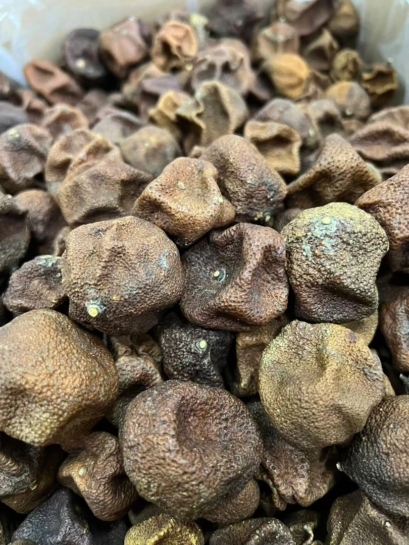 【正宗 新会 黄金果】2013年东甲圈枝柑宝批发 价优