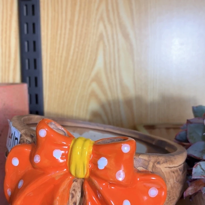 多肉花盆满15包邮