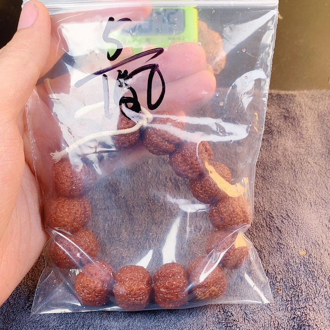 五***肉吊坠金刚菩提05——-//////