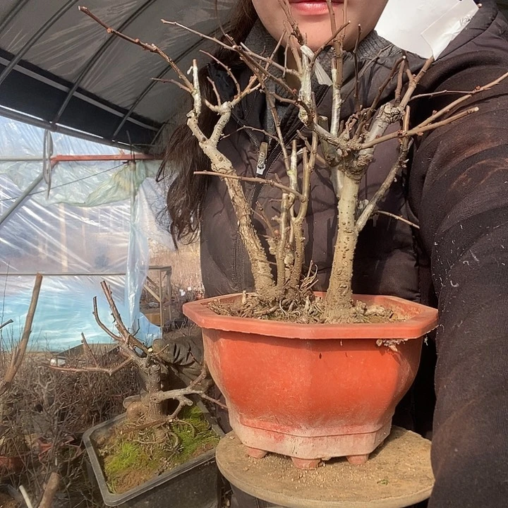 完全开放?****冲1111111144