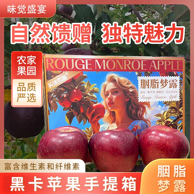 迎新年贺新春精品黑卡苹果手提彩箱装