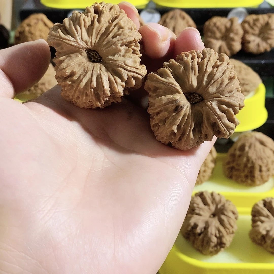 木质类今天是不是又要