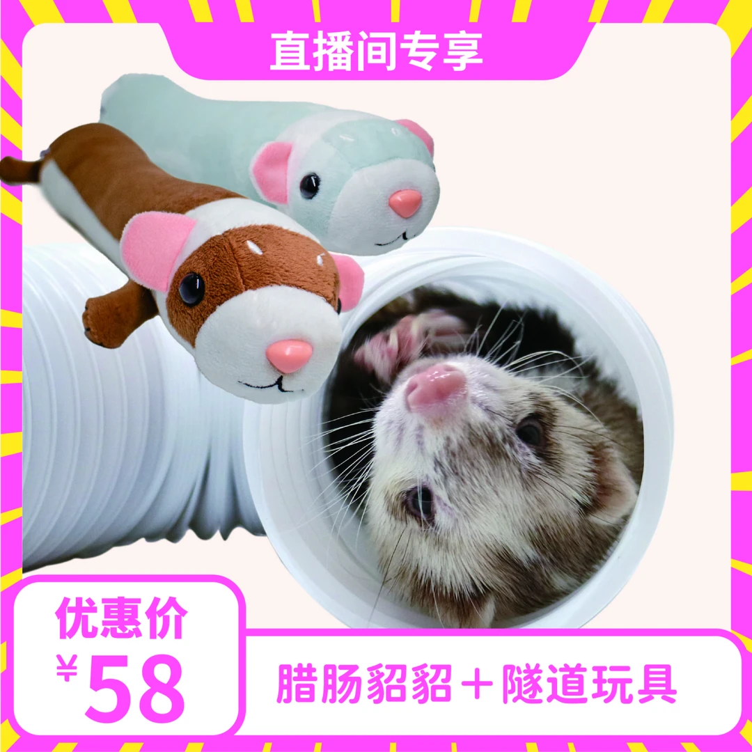 Angora/安哥鲁抖音直播间宠粉福利套装