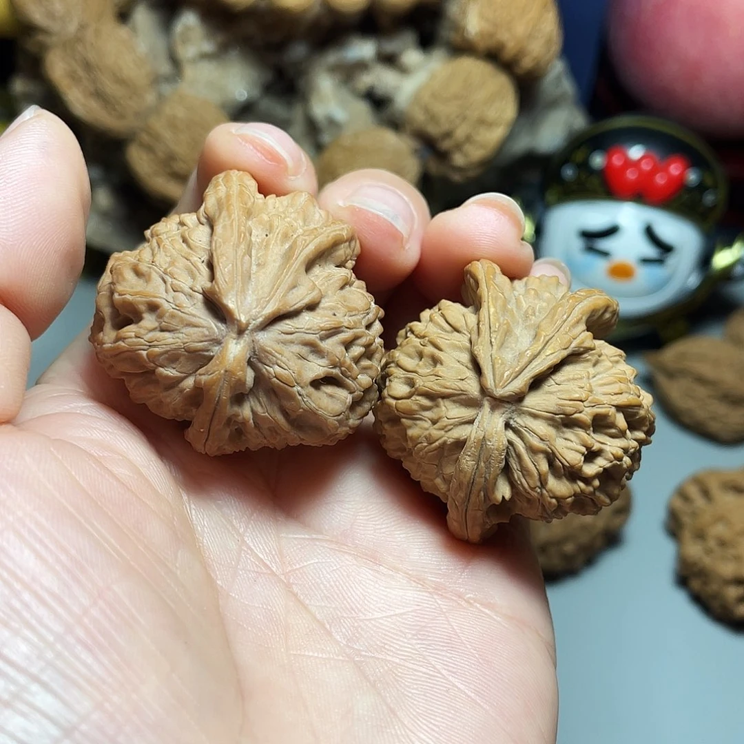 核桃手串/手链精品白狮子人奔