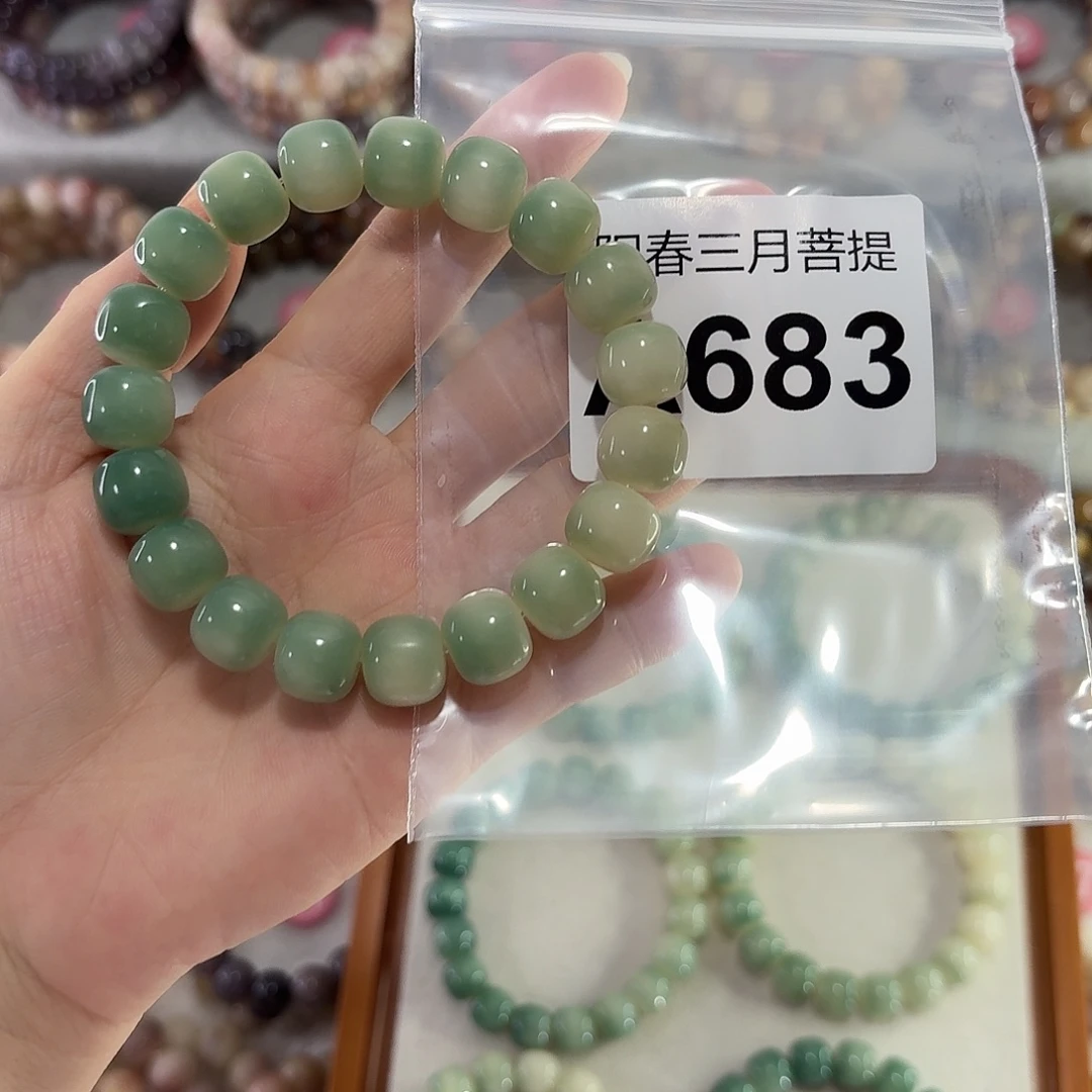 格***i吊坠菩提根/象牙果