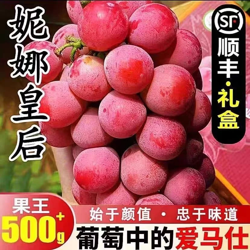 ｛顺丰包邮｝高端水果妮娜皇后无籽葡萄新鲜采摘红酒香醇厚