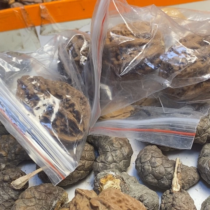 文玩核桃吊坠东北特产107