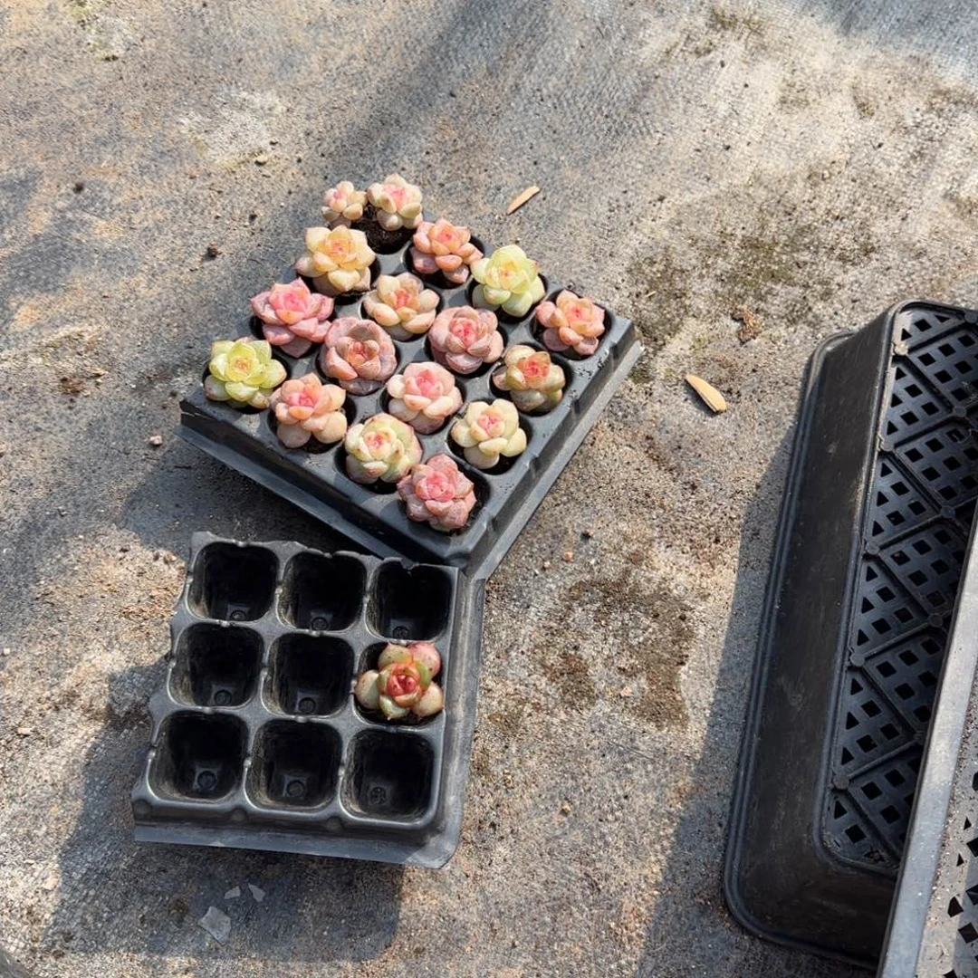 118哈哈哈哈哈哈哈哈