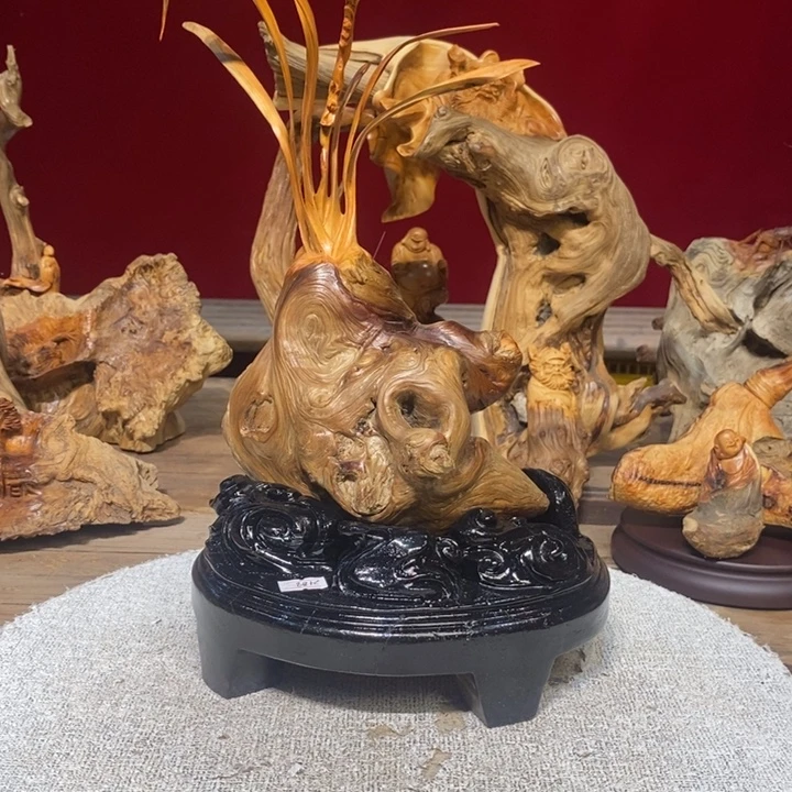 柏木（崖柏）8888888888