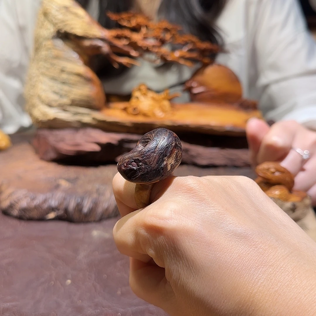 用***5柏木（崖柏）太行集团