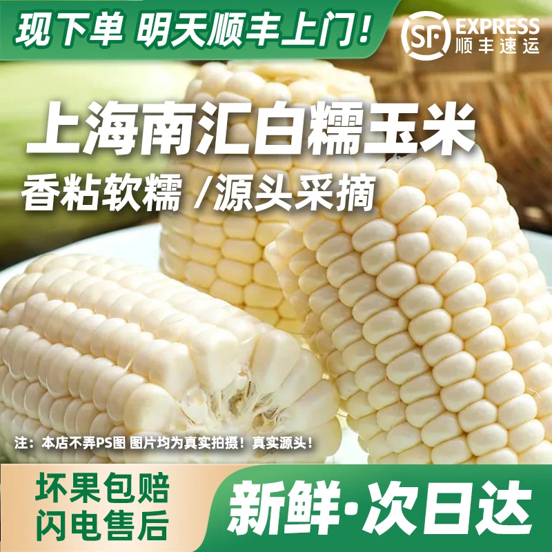 【明天到】正宗南汇白糯玉米香粘软糯新鲜采摘孕妇小孩顺丰包邮上门带箱发货3.2斤~9.5斤上海市