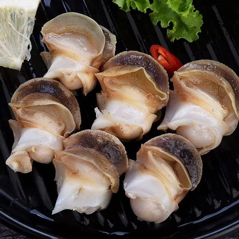 海螺肉新鲜活取干冰水产品速冻11-15个/斤海鲜