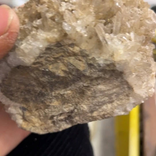 风***色核桃木/黑胡桃（胡桃木）