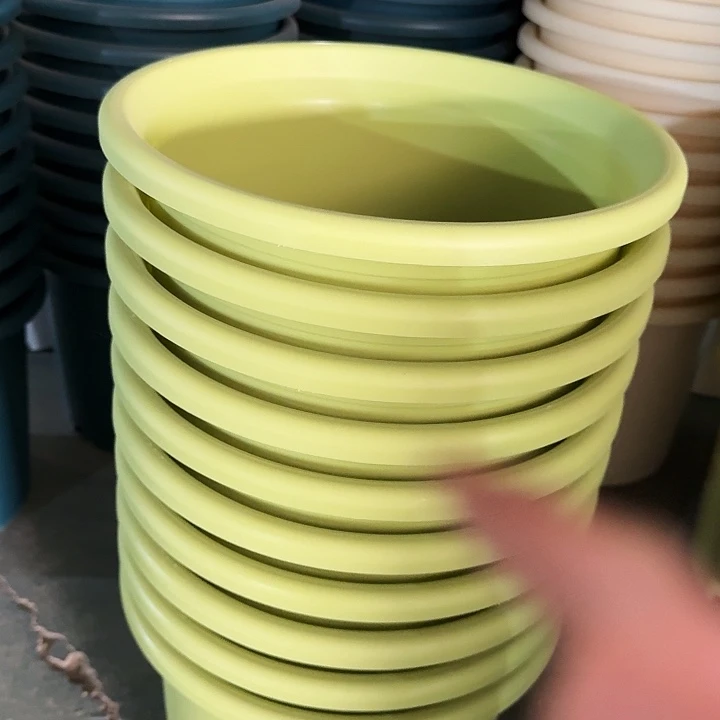 四季6号果绿无托7个特价微瑕