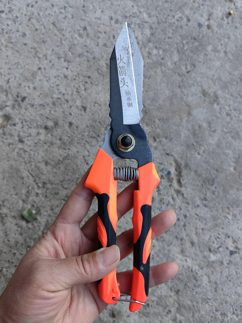 蒜剪子大蒜剪刀剪蒜胡子