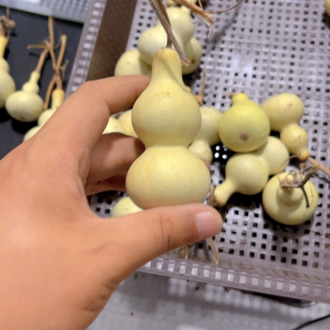 慢***摇感谢大哥支持兄弟不保