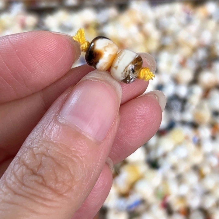 未镶嵌蜜蜡裸石7.5mm一对