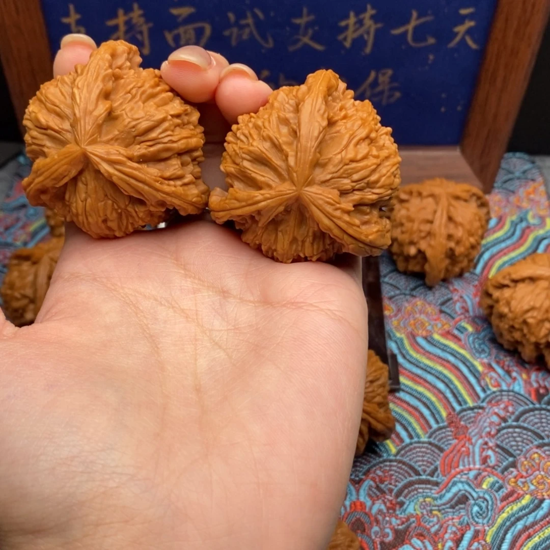 【闪购商品】昊*白狮