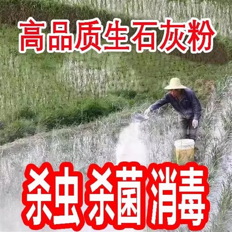 种菜生石灰粉非消毒剂非杀虫剂干燥剂改鱼塘良土壤石灰块除湿刷墙