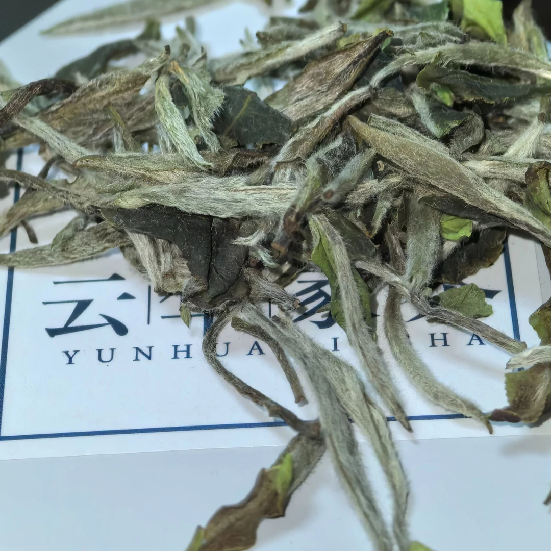 2024福鼎白茶（特级白牡丹）