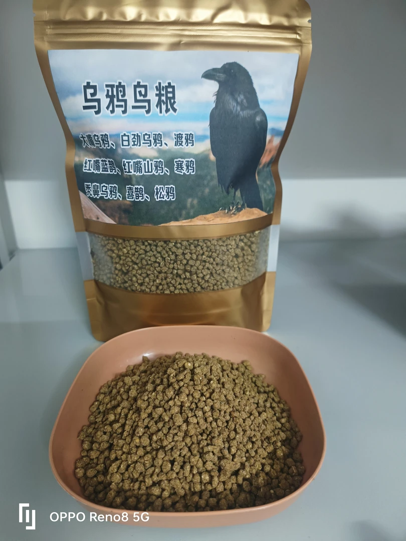广西大嘴乌鸦鸟粮
