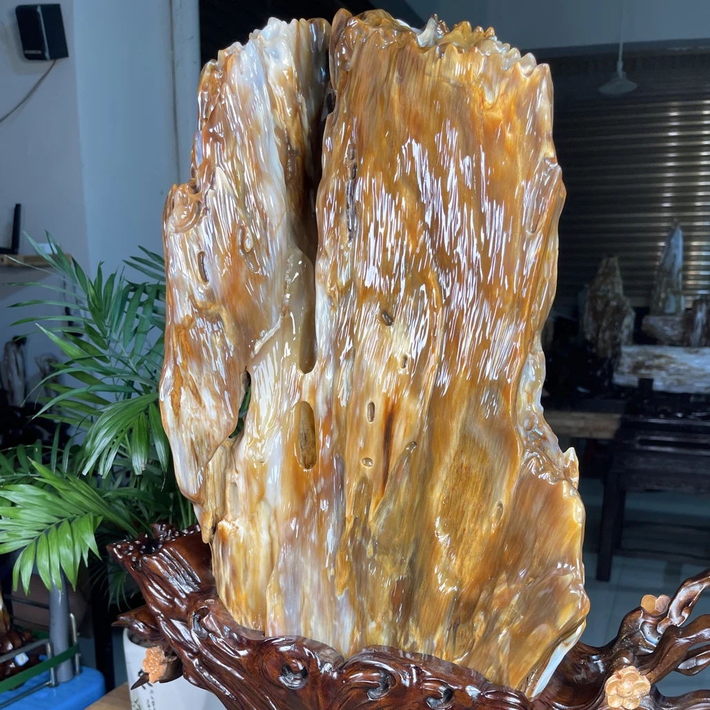 远古树化玉植物的舍利树化石木化石玉石摆件家居玄关客厅奇石1号