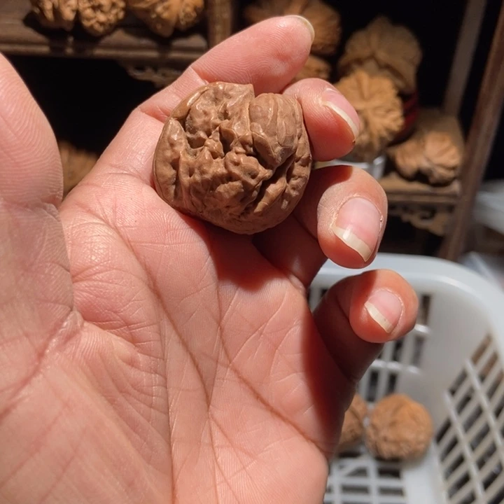 地***干核桃蛤蟆头一帆尺寸33