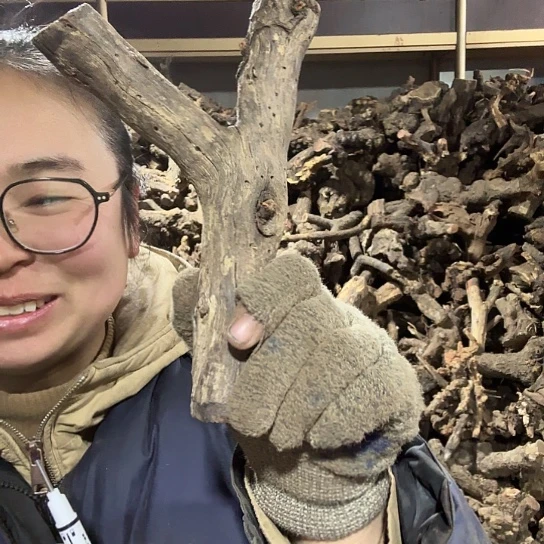 香榧木康*火琉璃的毛料摆件