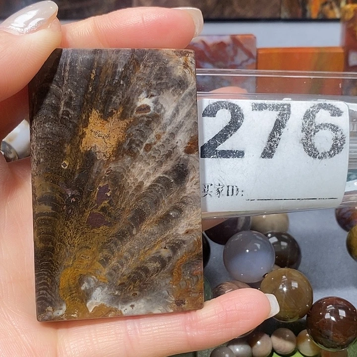 硅化玉未镶嵌天然北票树化玉吊坠