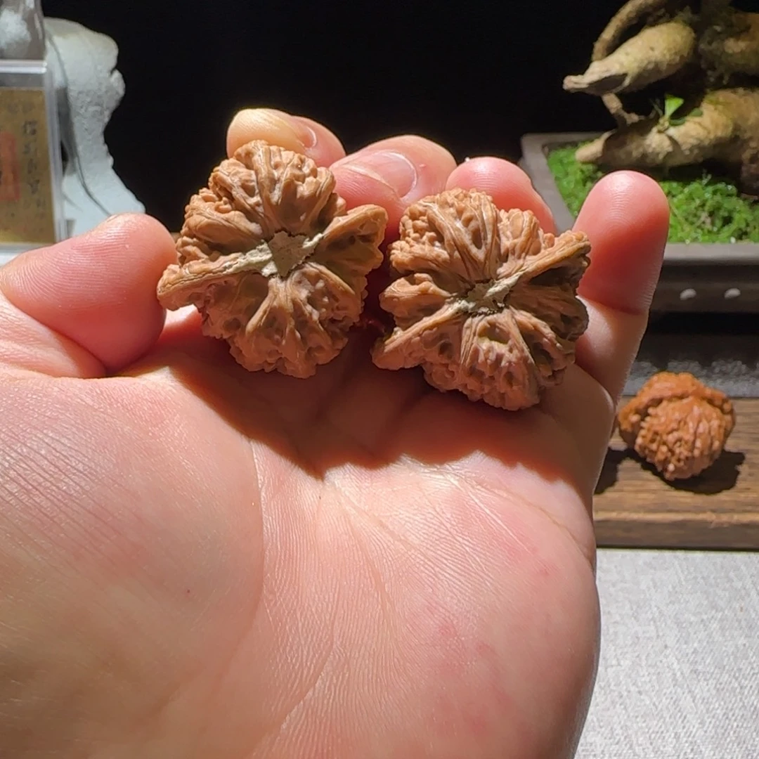 猴头核桃吊坠全品老款蜜纹红皮石膏底