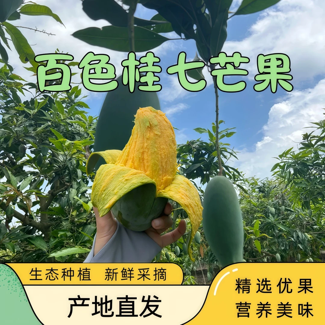 广西百色芒果礼盒桂七芒果3斤网红当季孕妇水果产地直发精品特大