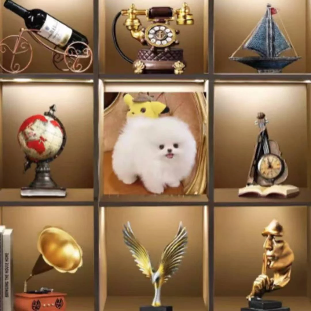 宠物家庭相簿定制宠物本6寸大容量收纳本影集情侣5寸78宠物成长