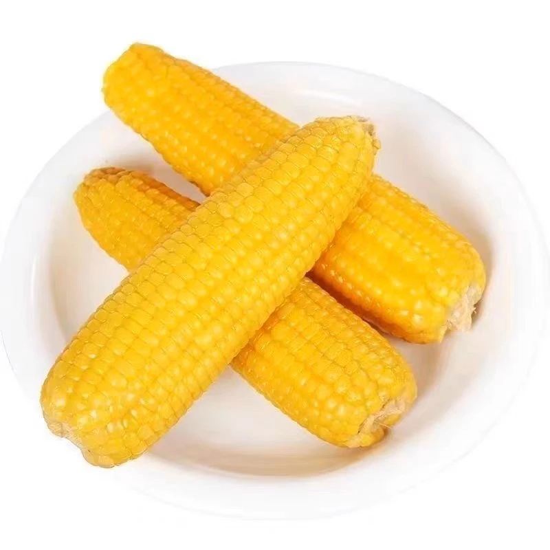 黑土地特产鲜食玉米粘糯玉米真空包装