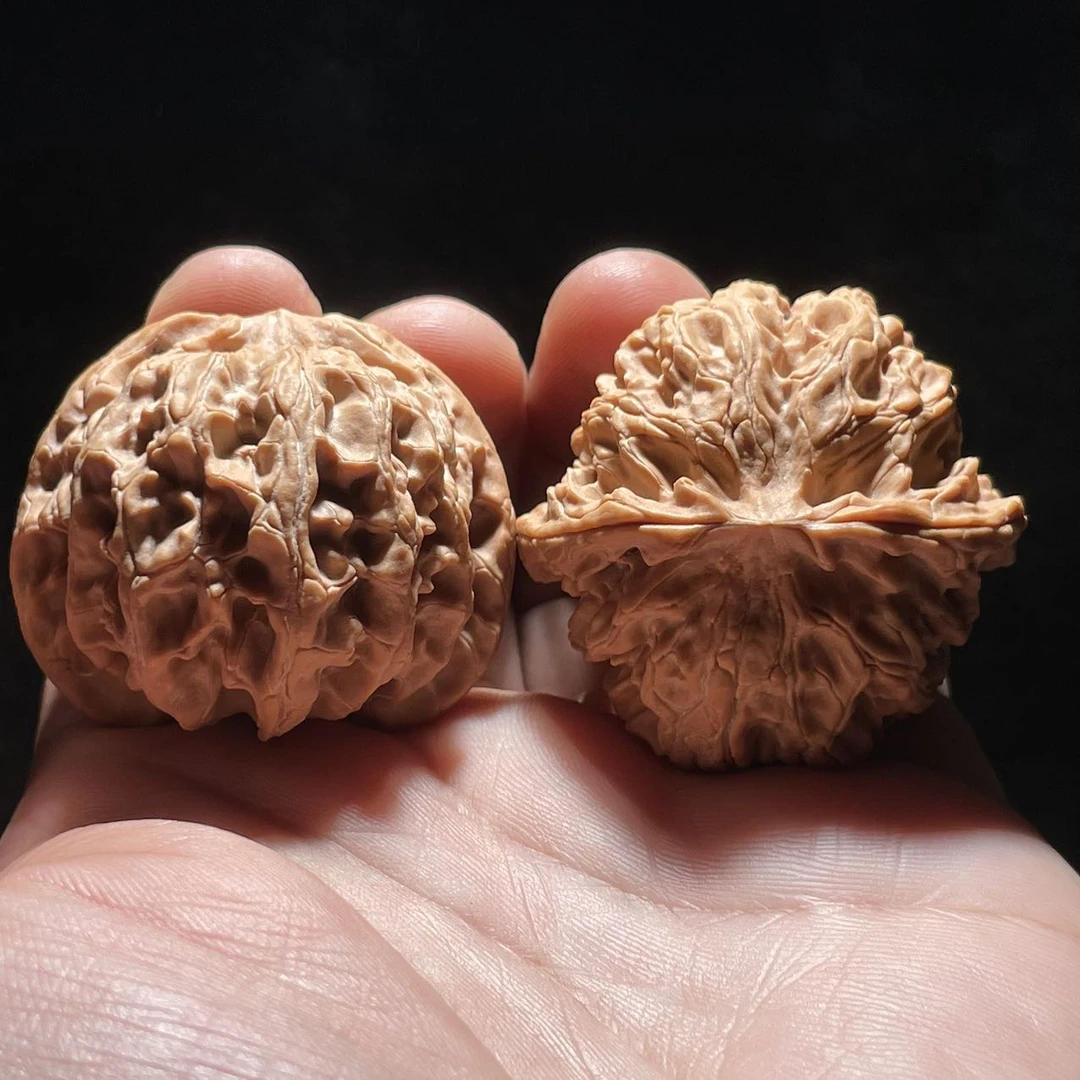 【中国涞水麻核桃协会】26 G85763-苹果园核桃(全品)-40mm-