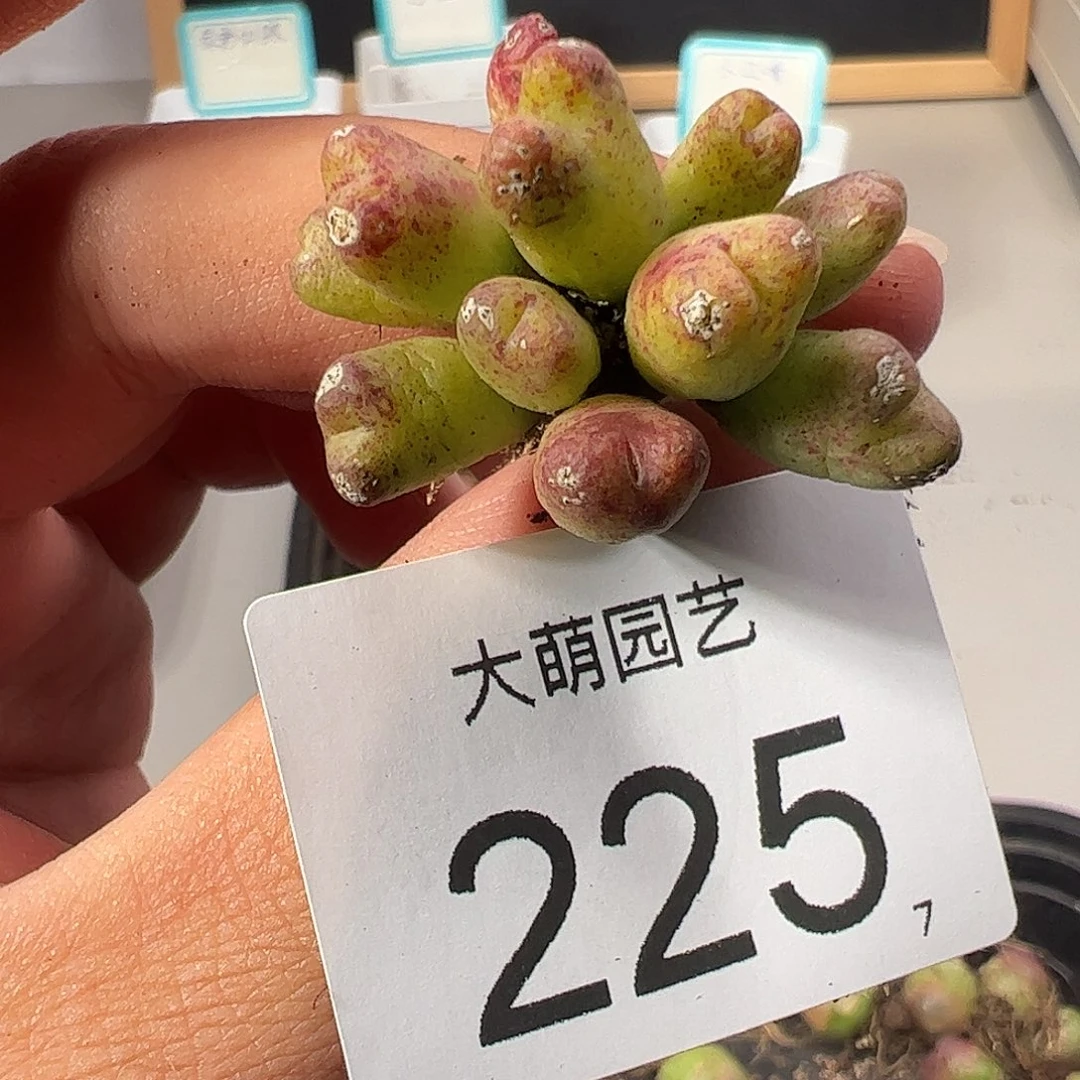0000225 一物一拍……