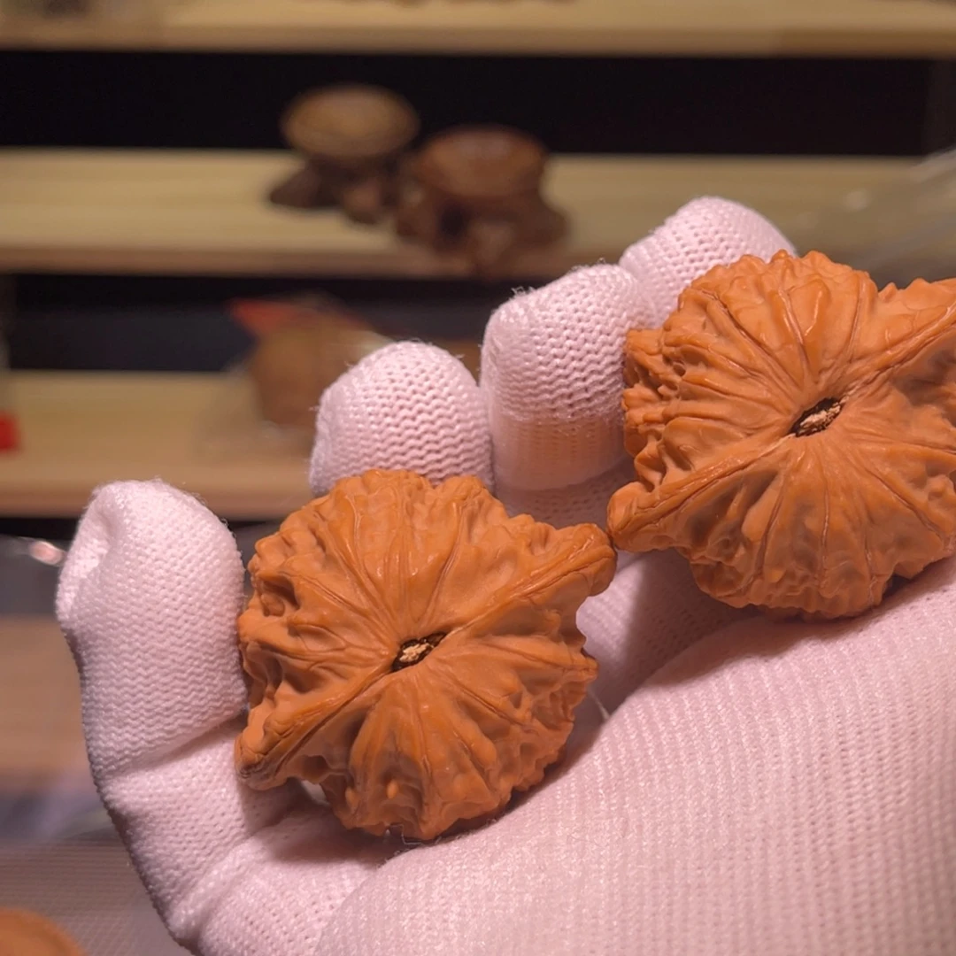 核桃手串/手链298号44崔凯