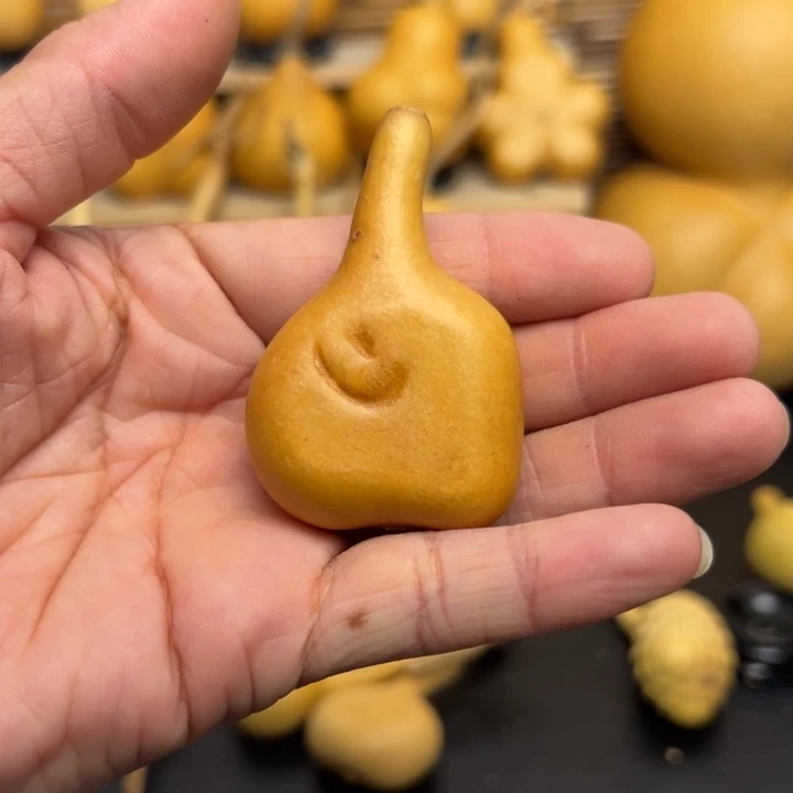 5*z255992696665589999