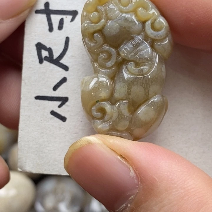 硅化珊瑚（珊瑚玉）未镶嵌颈饰