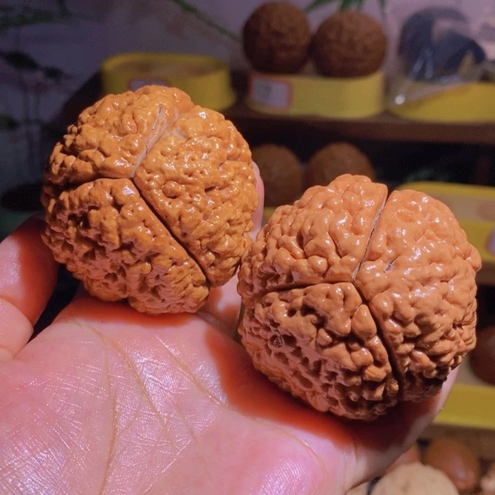 虫眼野生三瓣脑纹大金刚5460