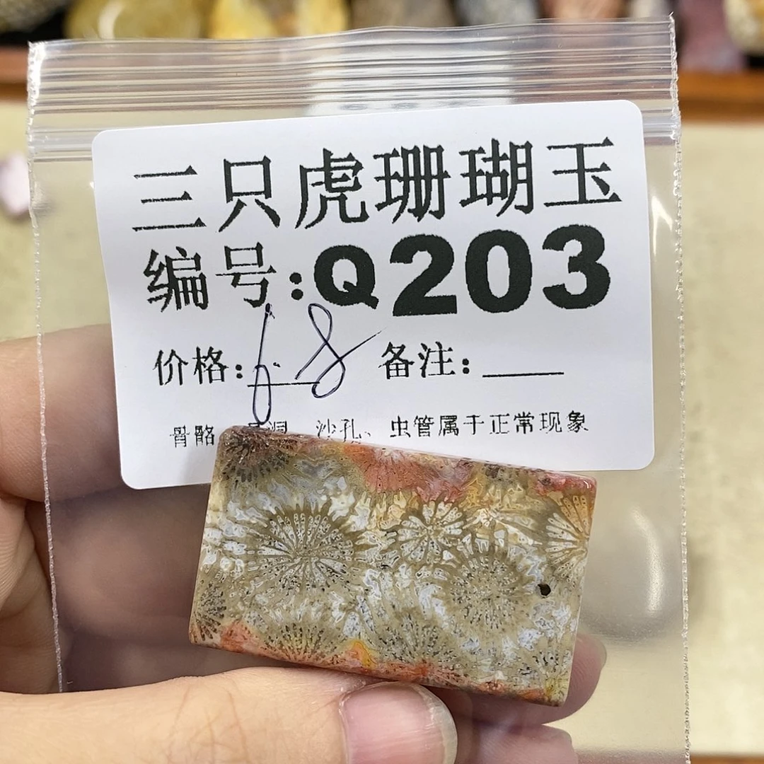 硅化珊瑚（珊瑚玉）1未镶嵌我**子
