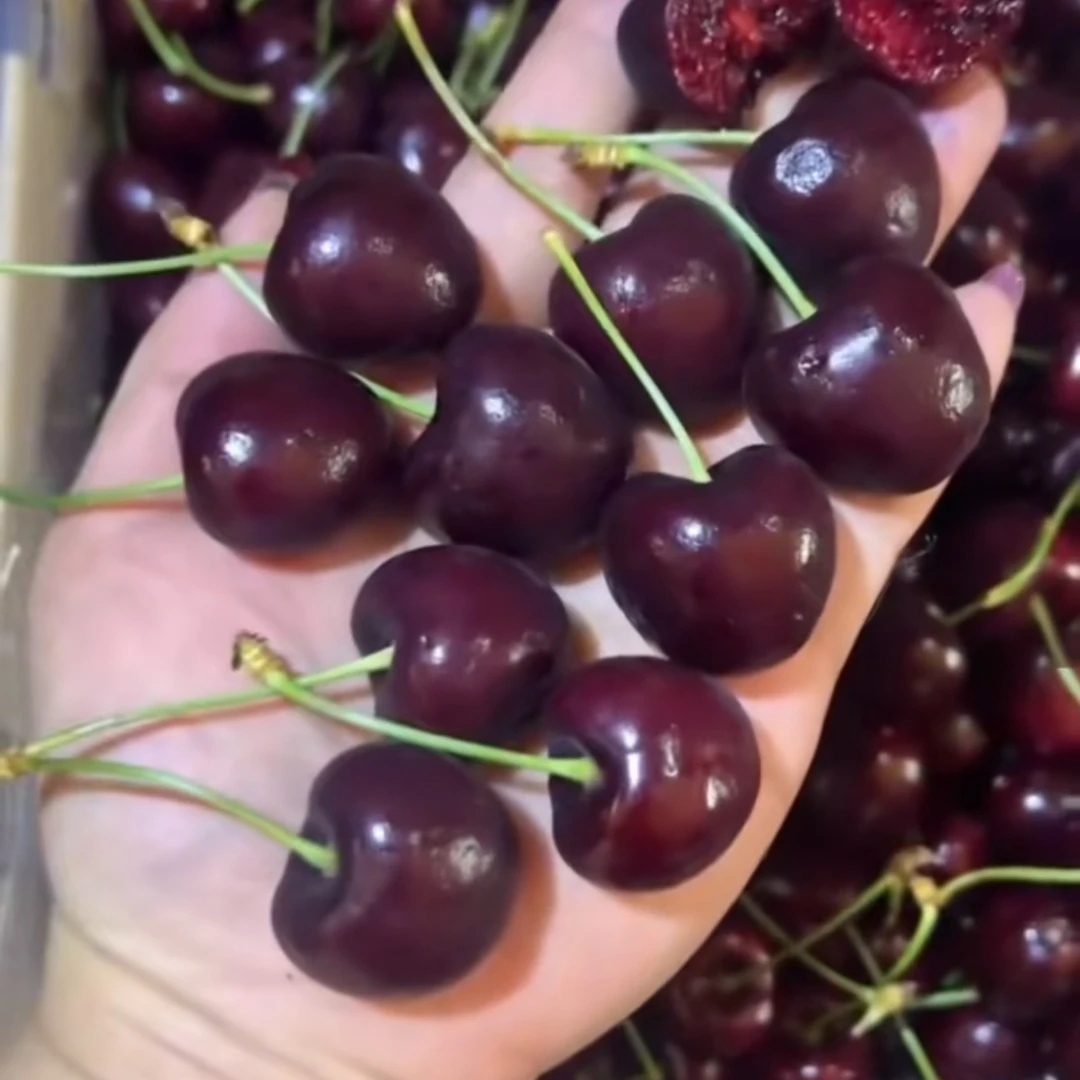 智利瑞吉娜大长腿3JD车厘子5斤原装