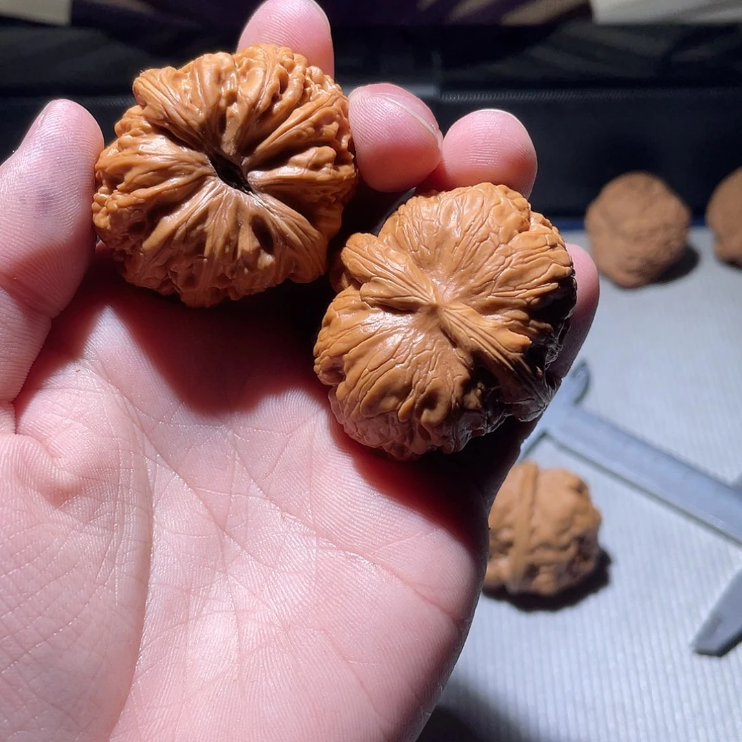 Y***y核桃43.38有修元宝