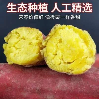 【买三斤送两斤】正宗板栗蜜薯新鲜现挖软糯香甜沙地红薯粗粮代餐