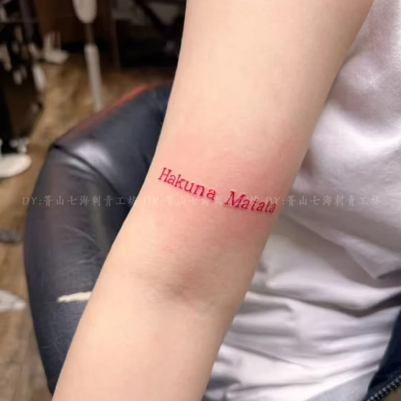 一切顺利Hakuna Matata.网红爆款彩色纹身贴手臂防水女持久男可洗