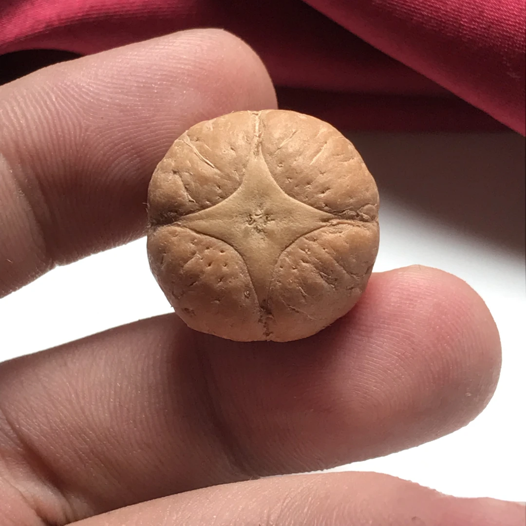 甄选22mm麒麟眼 玉籽 高密度 秒沉