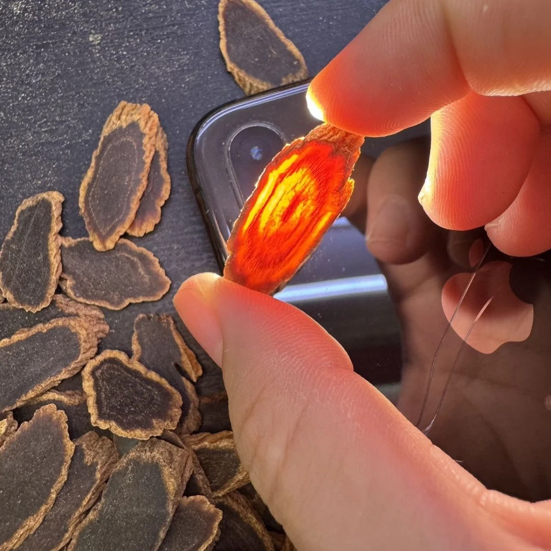 金边黑参 大集现收 高端滋补