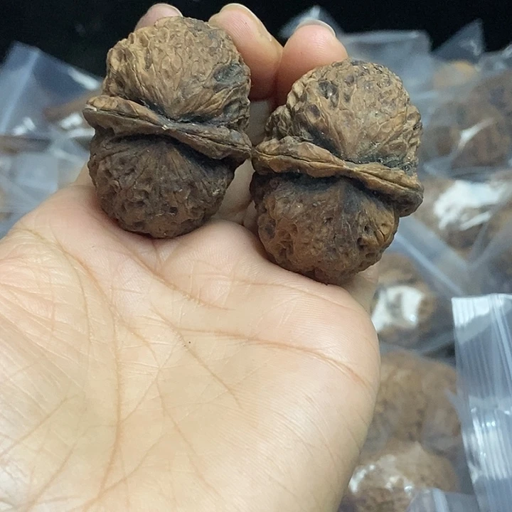 木质类云南铁核桃+63