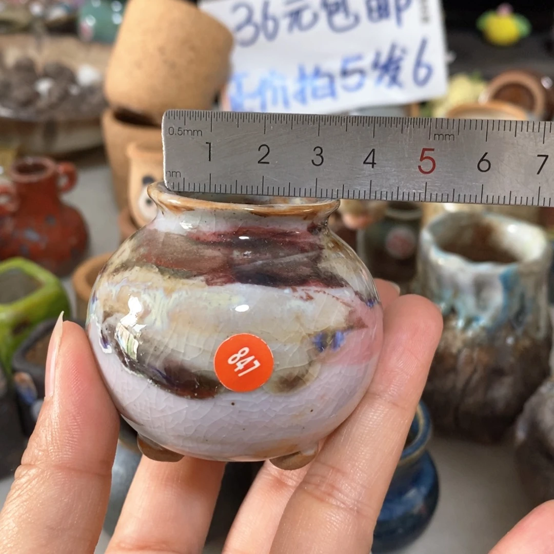 拍5送一个小礼物