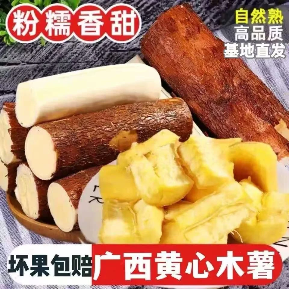 正宗华南九号黄肉木薯面包木薯基地每天现挖现发糖水店奶茶店同款